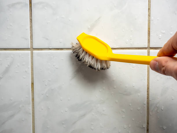 Best Mold Testing and Inspection Services in Girardville, PA